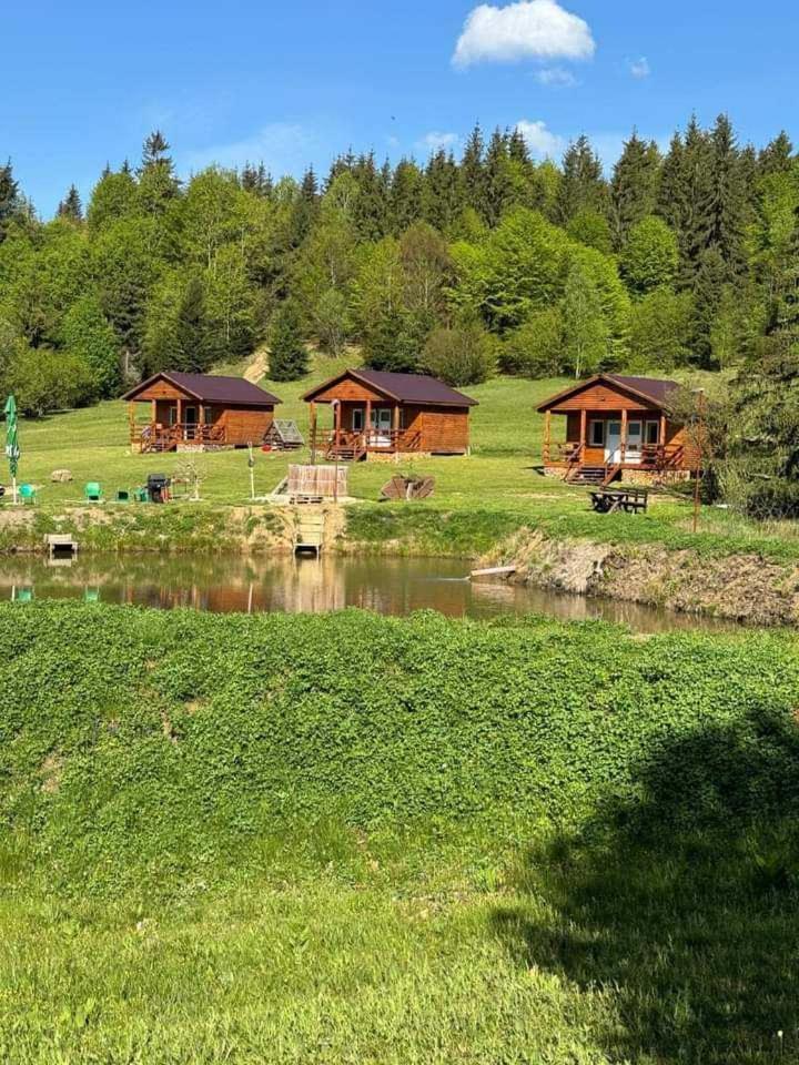 Cabanele Areama Neagra Izvoru Mureşului Exterior foto